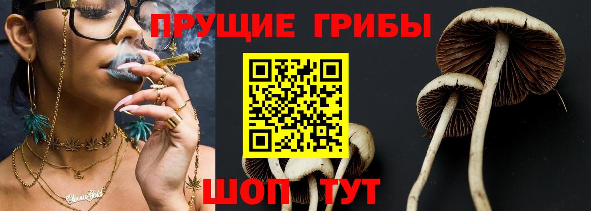 Полысаево  Галлюциногенные грибы Psilocybine cubensis  Вход с VPN 