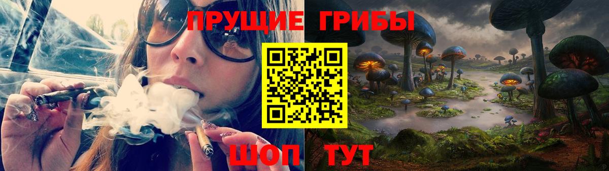 Псилоцибиновые грибы мицелий Полысаево